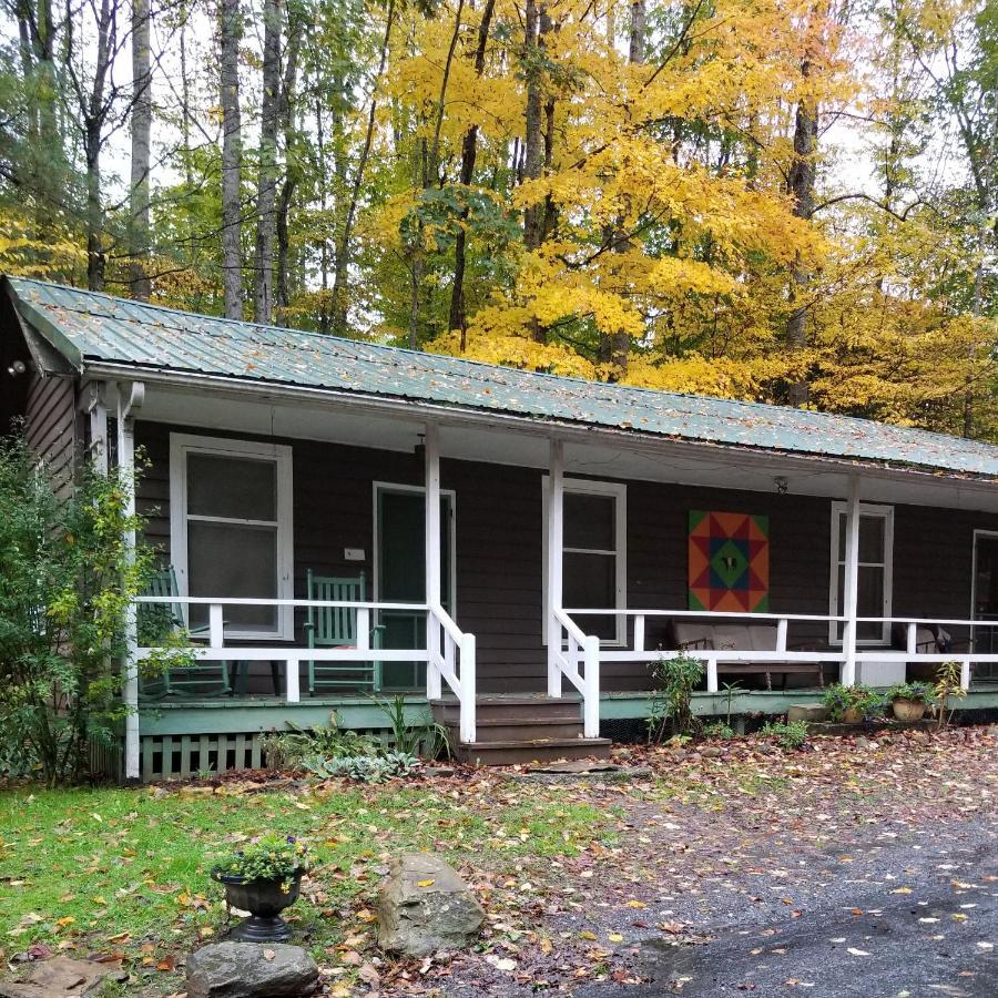 The Cabins At Healing Springs Crumpler Экстерьер фото