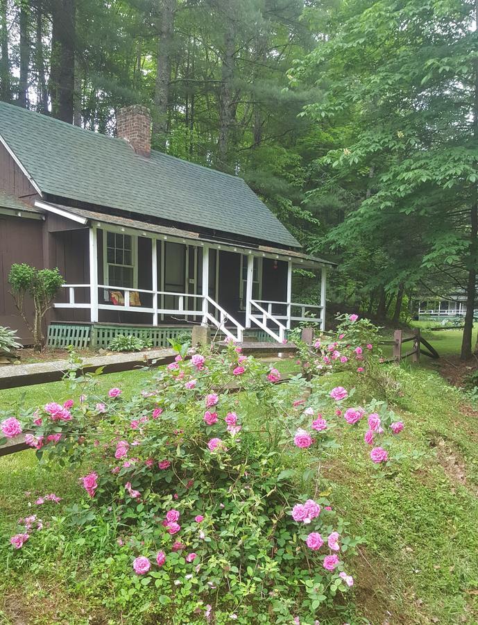 The Cabins At Healing Springs Crumpler Экстерьер фото